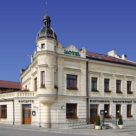 Hotel Jelinkova Vila Velké Meziříčí المظهر الخارجي الصورة