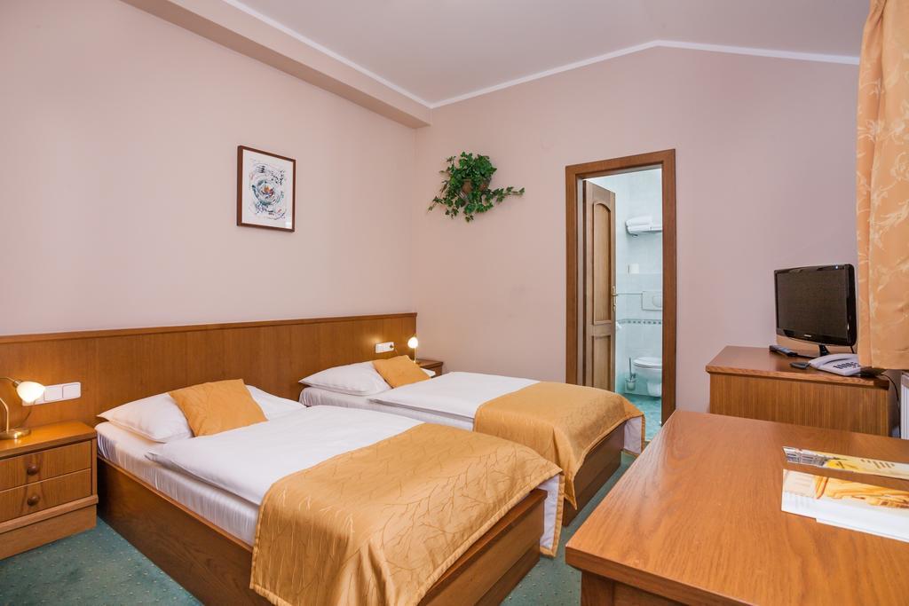 Hotel Jelinkova Vila Velké Meziříčí الغرفة الصورة